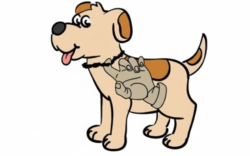 Come prendere le misure