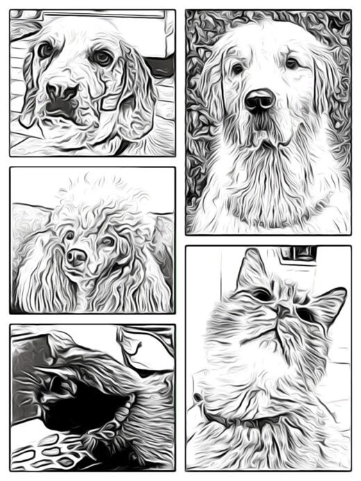 commemorare un animale dopo la sua perdita