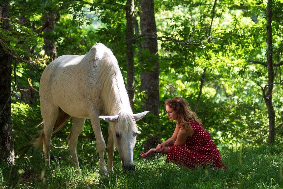 Animal Communication