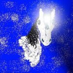 Potenziamento Reiki Destriero dello Spirito