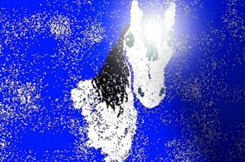 Potenziamento Reiki Destriero dello Spirito