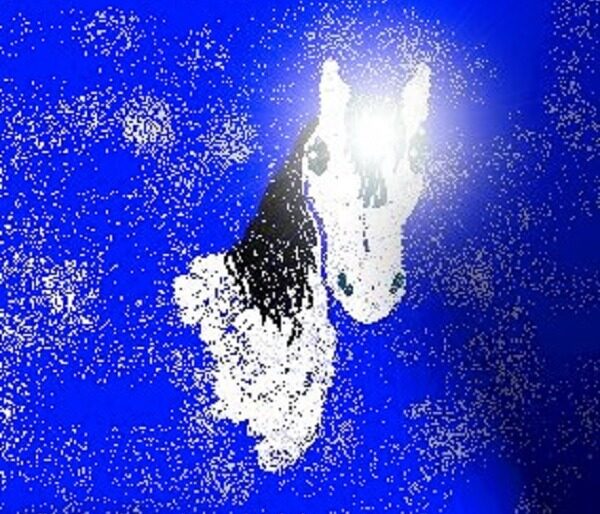 Potenziamento Reiki Destriero dello Spirito