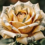 money protection reiki