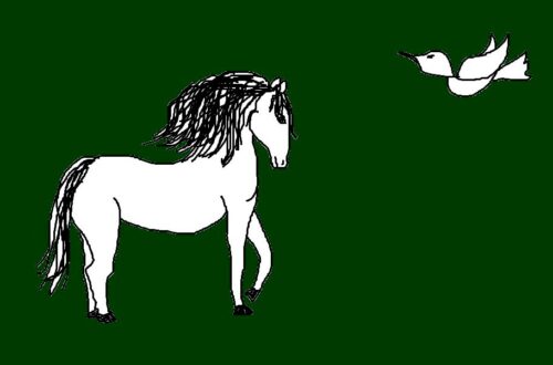 Reiki Guide Spirituali Animali