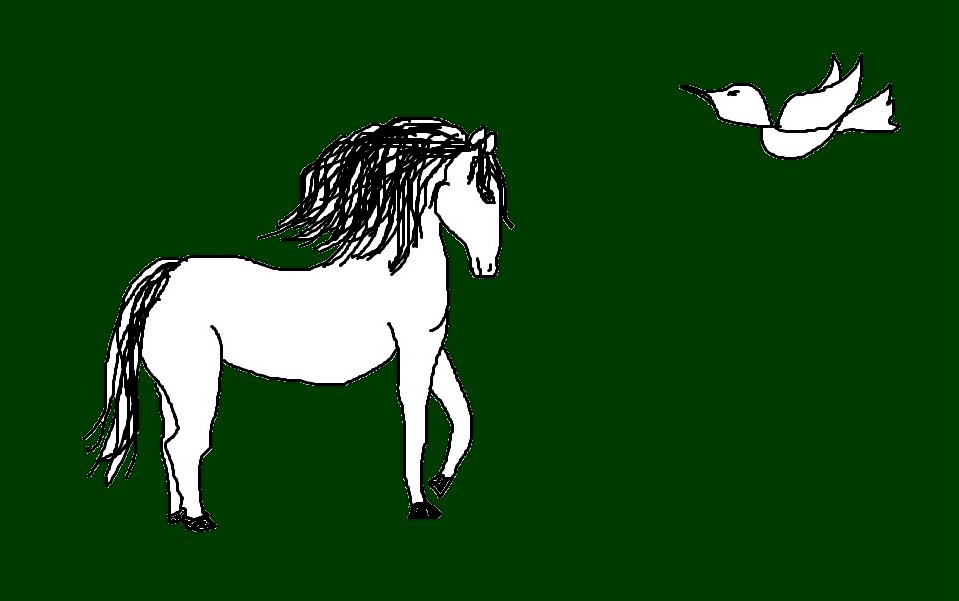 Reiki Guide Spirituali Animali