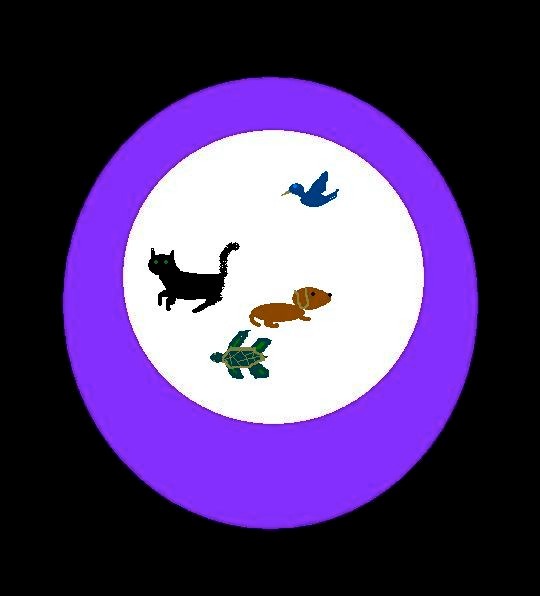 Animal Protection Reiki