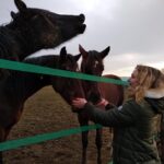 Reiki e Animal Communication