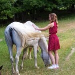 Trattamenti agli animali