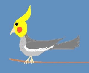 Potenziamento Animal Meditation Calopsitta