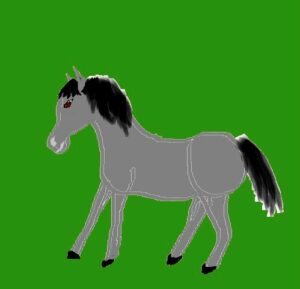 Potenziamento Animal Meditation Cavallo