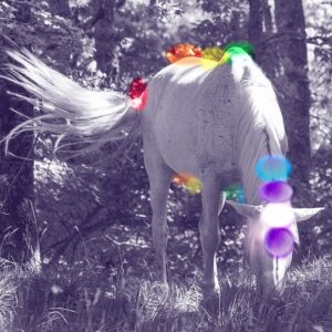 I chakra negli animali