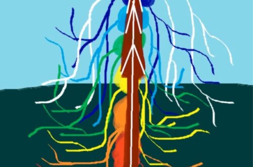 Magickal Lightwork Kundalini Boost Reiki