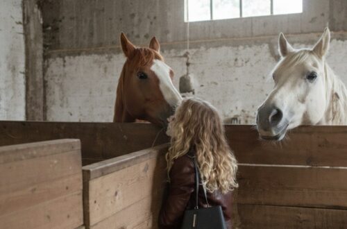 Problemi di salute o emotivi