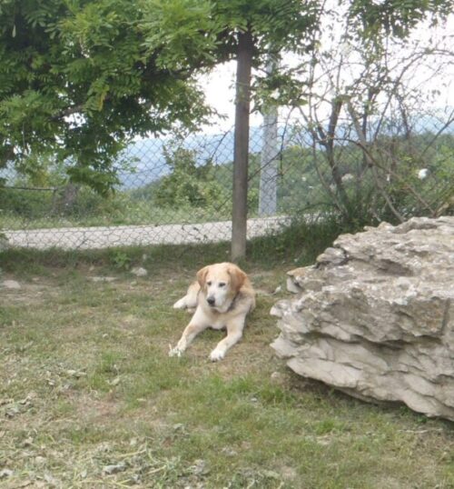 Estremo gesto di gentilezza