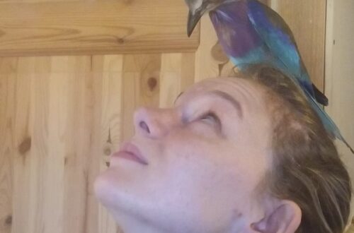 problemi comportamentali