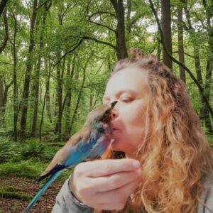 Connessione da cuore a cuore