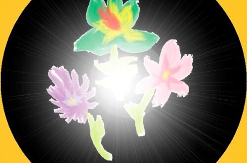 Vitamin and Mineral Assimilation Healing