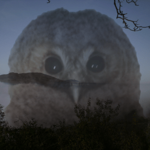 Shamanic Animal Communication & Healing