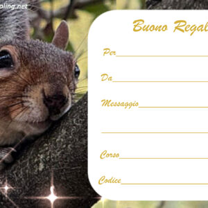 Buono Regalo Scoiattolo