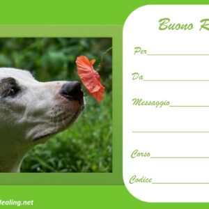 Buono Regalo cane papavero