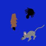 Pest Repellant Reiki