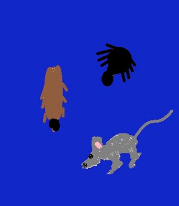 Pest Repellant Reiki