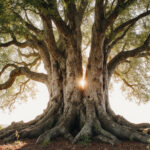 Celtic Reiki
