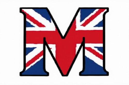 Manuale in inglese