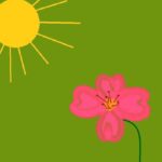 Potenziamento Love Reiki