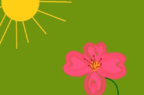 Potenziamento Love Reiki