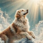 Spiritual animal ascension Reiki
