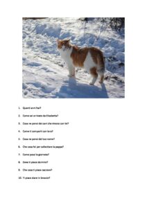 Domande per Kitty pdf