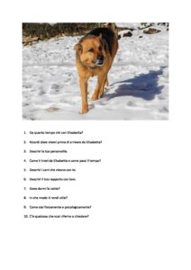 Domande per Lady pdf