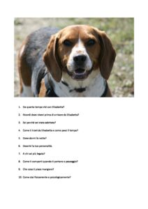 Domande per Lola pdf