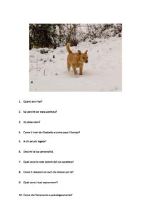 Domande per Moony pdf