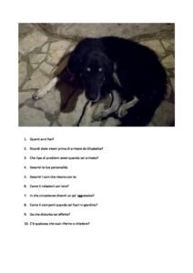 Domande per Toby pdf