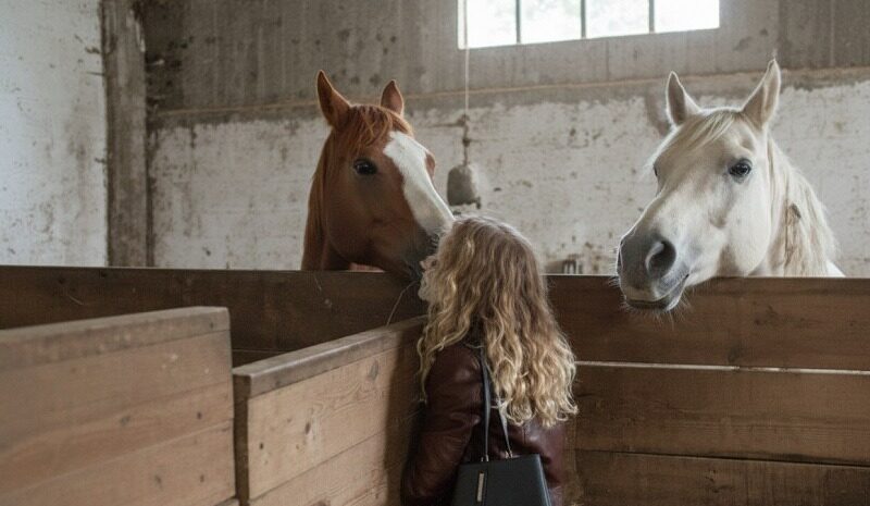 Problemi di salute o emotivi