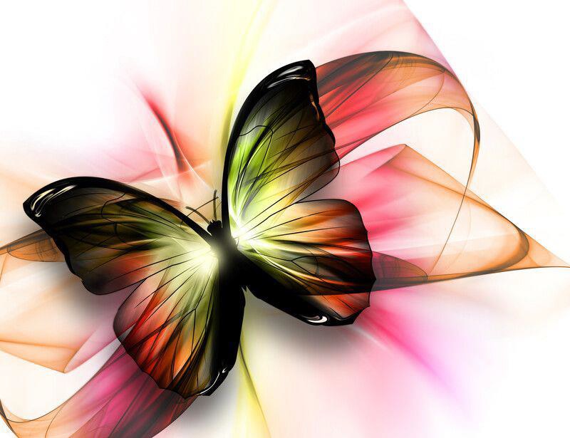 Butterfly of Palea