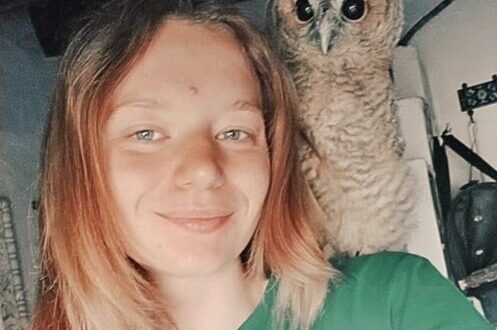 Il vissuto dei nostri animali