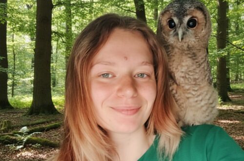 La comunicazione telepatica può aiutarci a conoscere il vissuto dei nostri animali 9 Vissuto dei nostri animali