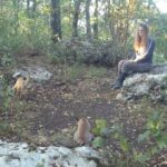 Comunicare telepaticamente con gli animali selvatici 7 Animali Selvatici