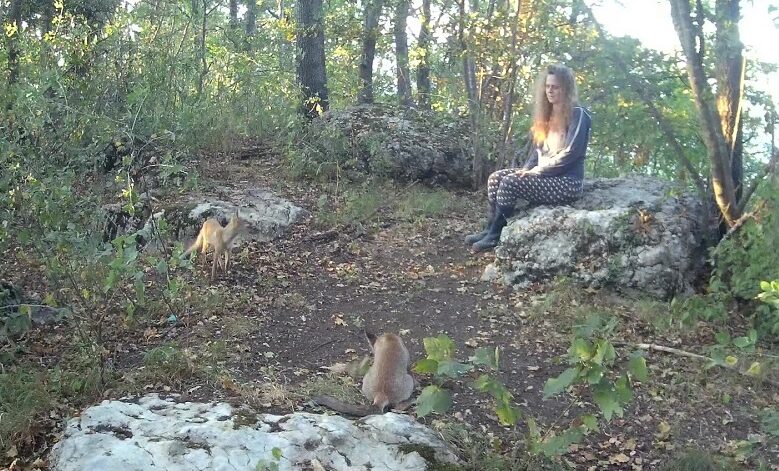 Animali Selvatici