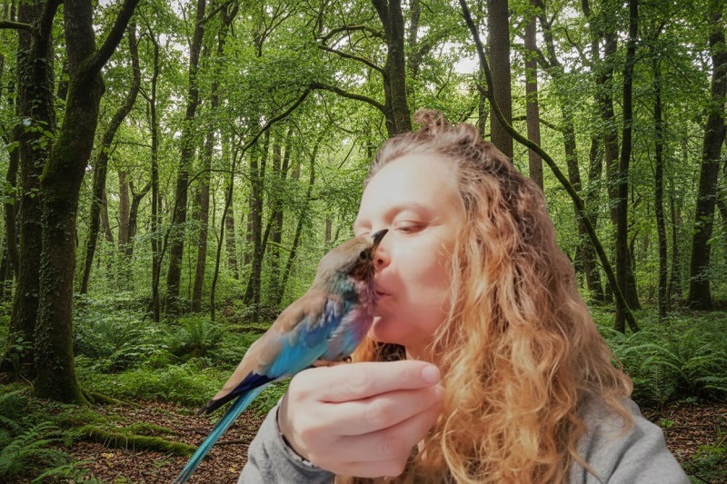 Connessione da Cuore a Cuore 4 Connessione da cuore a cuore