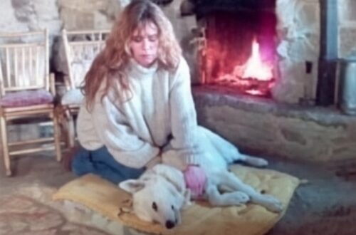 Un nuovo studio clinico dimostra che il Reiki a distanza allevia il dolore nei cani 8 Sito web olistico Studio Clinico